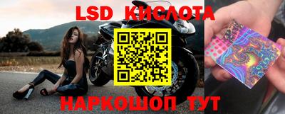 PSILOCYBIN Краснодар
