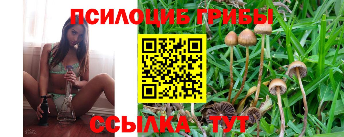 Псилоцибиновые грибы мухоморы  Вход с VPN  Коркино 