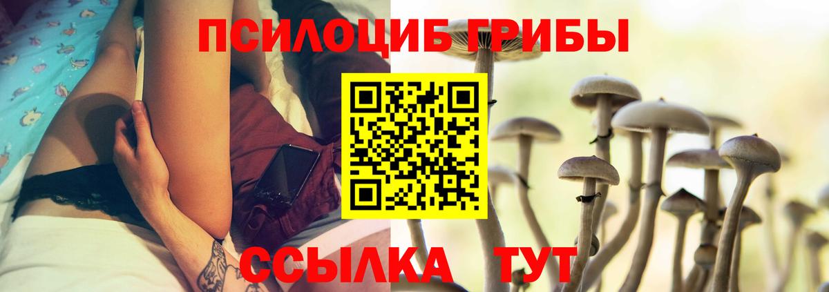 Псилоцибиновые грибы мухоморы Коркино